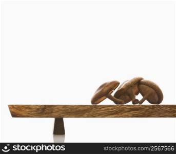 Three brown mushrooms on wooden cutting board with white background.