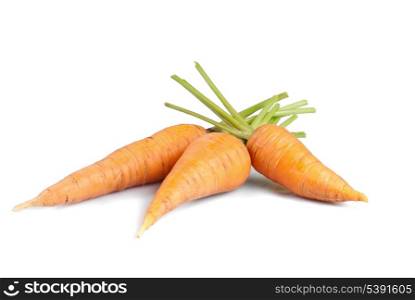 Three carrots isolated on white background