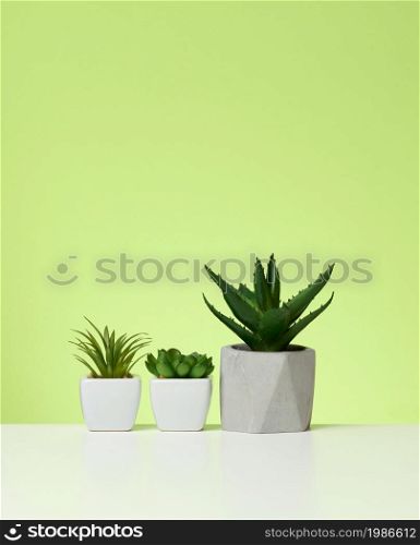 three ceramic pots with plants on a white table, green background