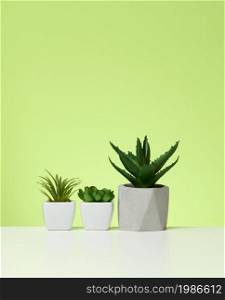 three ceramic pots with plants on a white table, green background