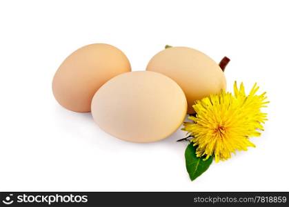 Three chicken eggs with leaf and two flowers of dandelion isolated on white background