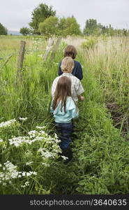 Three children (5-9) walking in countryside