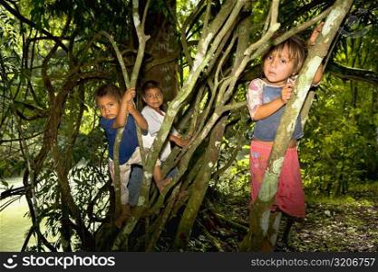 Three children climbing on trees, Agua Azul Cascades, Chiapas, Mexico