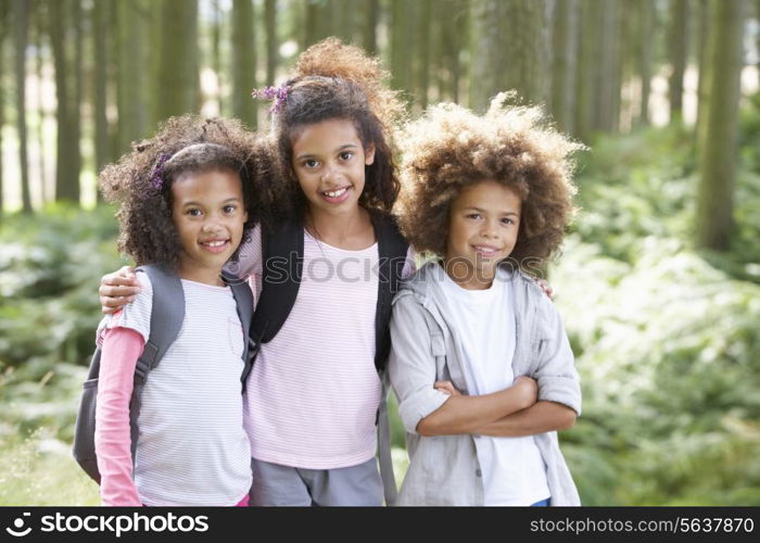 Three Children Exploring Woods Together