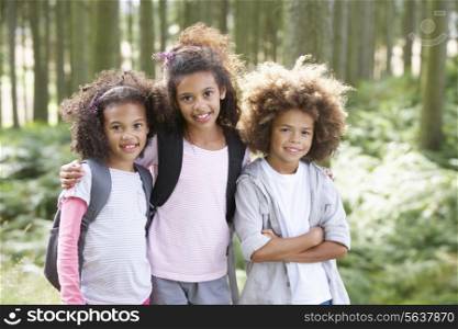 Three Children Exploring Woods Together