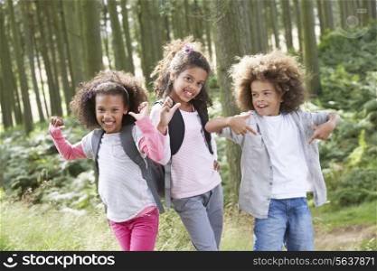 Three Children Exploring Woods Together