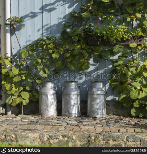 three churns for milk with plants and wood as background