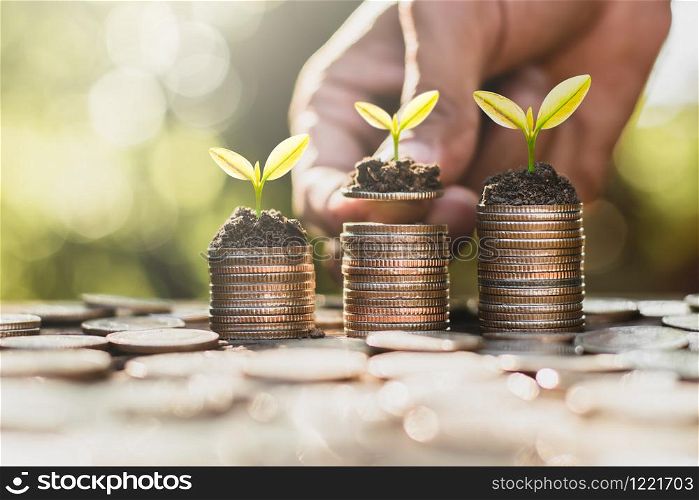 Three coin stacked and seedlings are growing on top, the concept of financial growth.