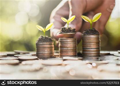 Three coin stacked and seedlings are growing on top, the concept of financial growth.