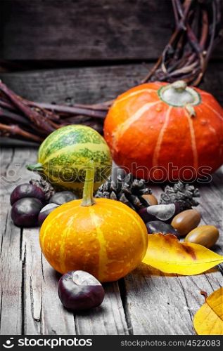 Three decorative pumpkins. Autumn harvest pumpkin and fallen autumn leaves