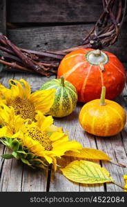 Three decorative pumpkins. Autumn harvest pumpkin and fallen autumn leaves