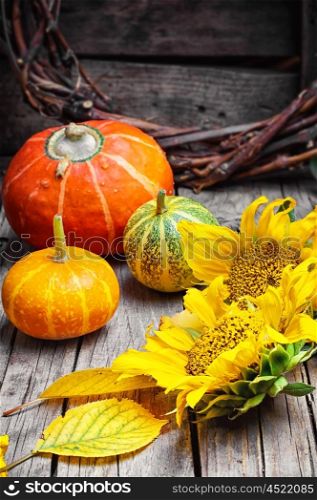 Three decorative pumpkins. Autumn harvest pumpkin and fallen autumn leaves