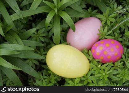 Three easter eggs hidden in the flower garden