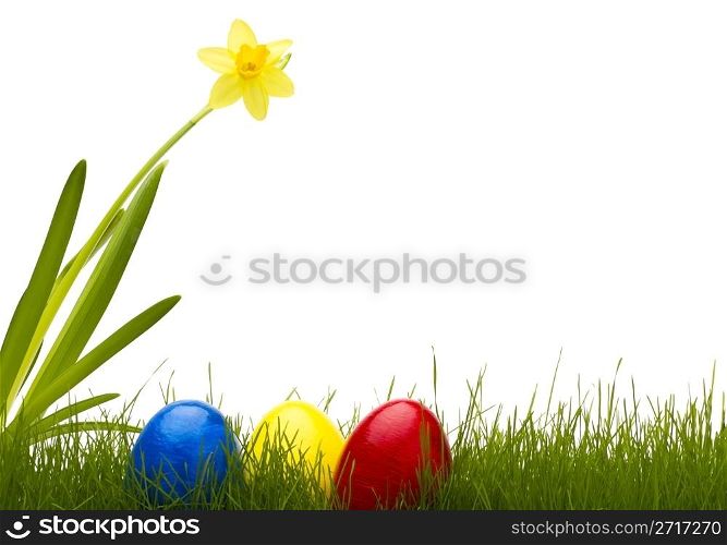 three easter eggs in grass with a daffodil. three easter eggs in grass with a daffodil with white background