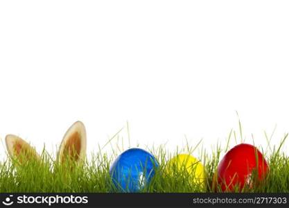 three easter eggs in grass with ears from a easter bunny in background. three easter eggs in grass with ears from a easter bunny in background on white