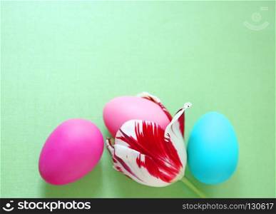 Three Easter eggs, one tucked inside a red and white tulip on a green background with room for copy
