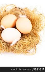 Three eggs in the nest on white background