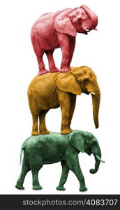 three elephants