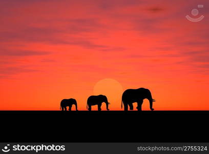 Three elephants on a decline (a background for addition of an inscription)