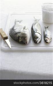 Three fishes on chopping board, close-up