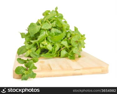 three fresh mint leaves isolated on white background. Studio macro