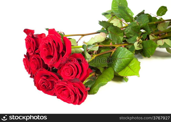 Three fresh red roses isolated on a white background