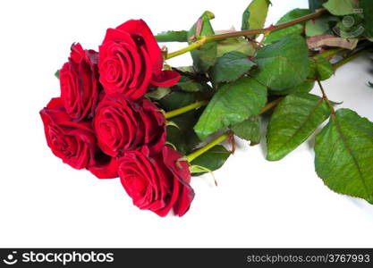 Three fresh red roses isolated on a white background