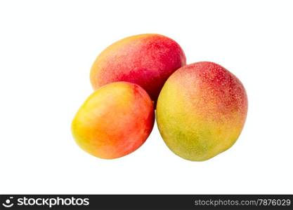 three fruits of mango isolated on a white background