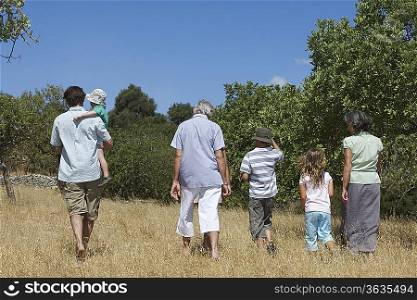 Three-generation family with three children (3-11) walking in field, back view