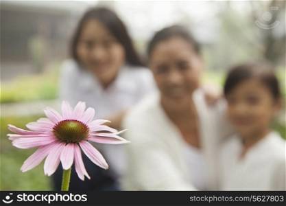 Three generation looking at flower in garden
