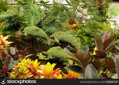 Three green dolphin in a greenhouse made from green living plants inover a small Pont.