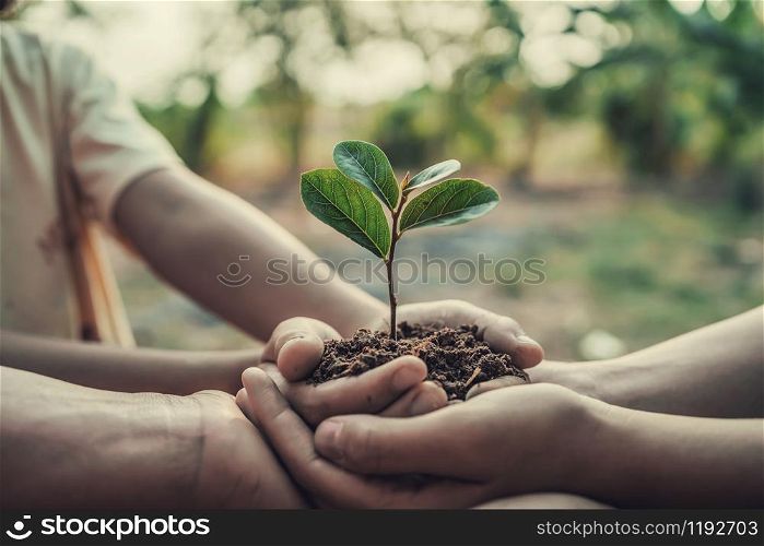 three hand holding tree for planting. concept earth day