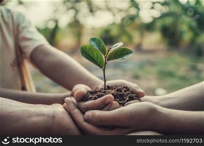 three hand holding tree for planting. concept earth day