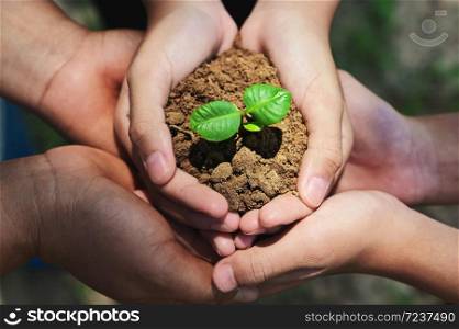 three hand protection and caring small tree on soil. eco environment concept