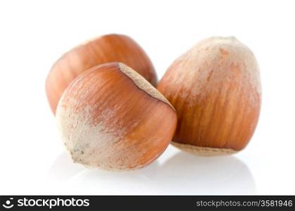 Three hazelnuts isolated on white background