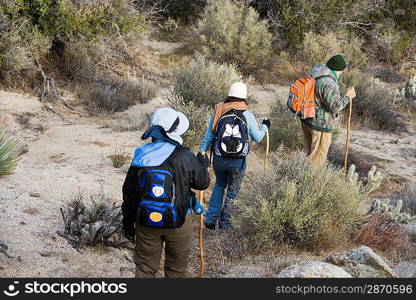 Three hikers on the trail