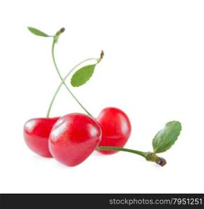 Three juicy cherry berries with petioles and leaves isolated on a white background closeup