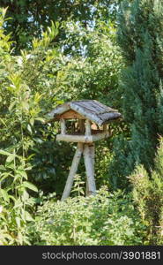 Three-legged wooden bird table. Rustic three-legged wooden bird table made from tree branches with sheltered platform and roof in sunlight surrounded by green trees and shrubs