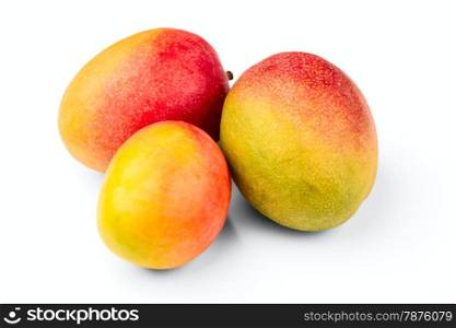 Three mangoes isolated on a white background