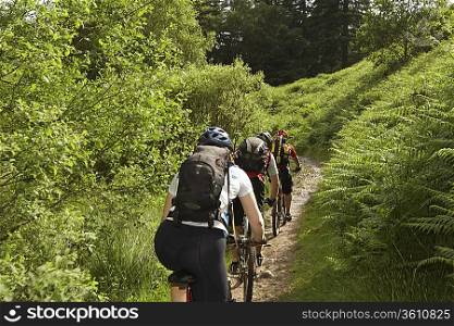 Three Mountainbikers on a Trail