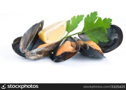 three mussels with lemon and parsley isolated