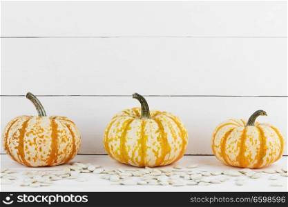Three orange pumpkins and seeds on white wooden background , Halloween concept. Pumpkins on wooden background