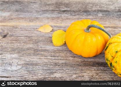 three orange raw pumpkins on old wooden textured table. pumpkin on table