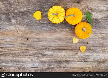 three orange raw pumpkins on old wooden textured table, top view. pumpkin on table