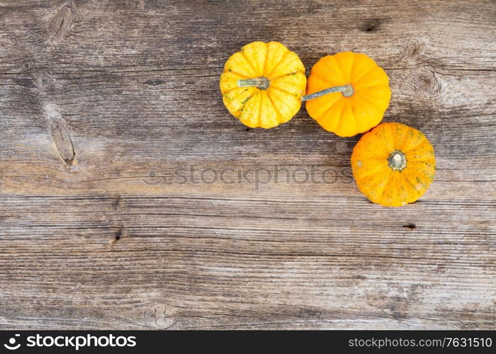 three orange raw pumpkins on old wooden textured table, top view. pumpkin on table