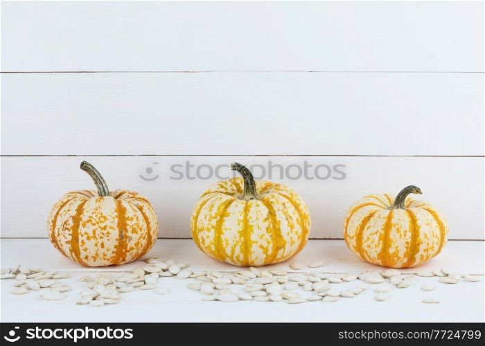 Three orange striped decorative pumpkins and seeds on white wooden background, Halloween concept. Three pumpkins and seeds