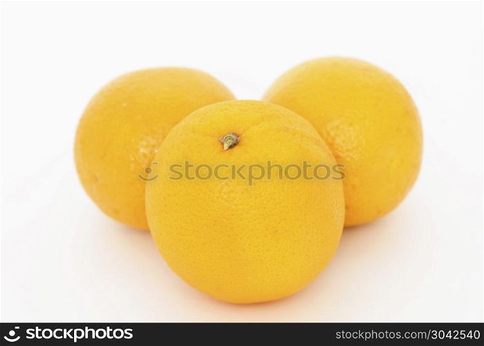 Three oranges over white background