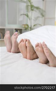 Three pairs of feet
