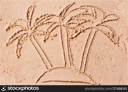 three palms on a desert island in the sea
