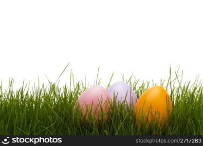 three pastel easter eggs in grass. three pastel easter eggs in grass with white background